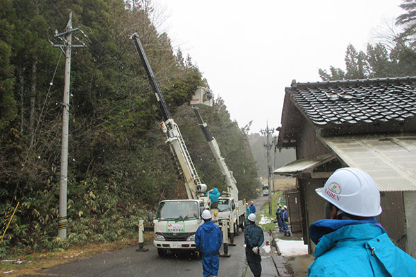 能登半島地震による電力設備復旧対応(伐採)